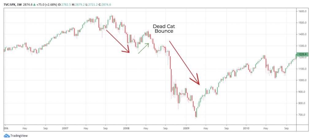 dead cat bounce example