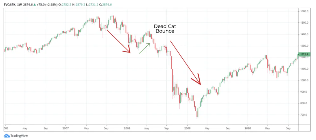 dead cat bounce example