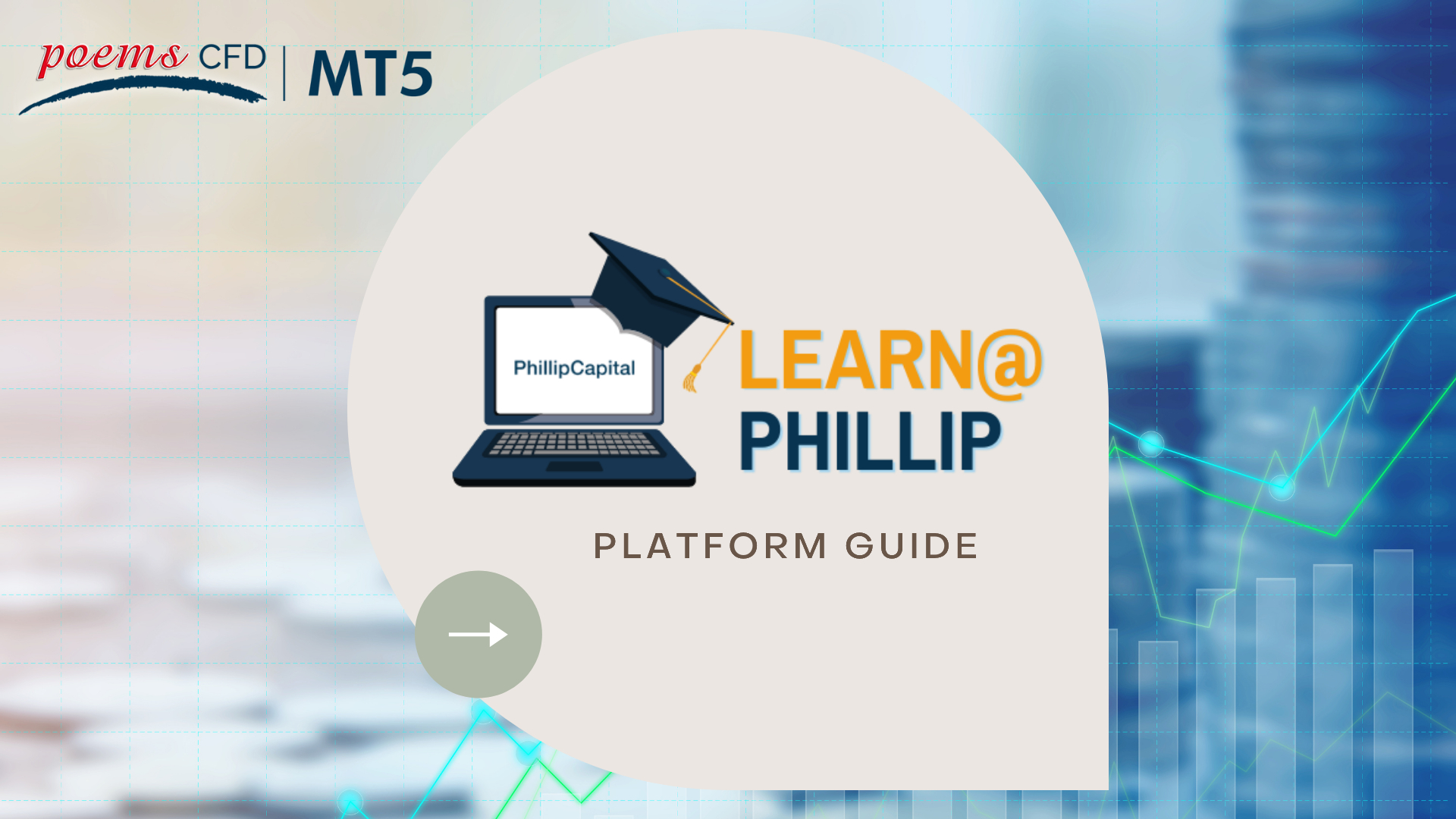 MT5 Platform Guide