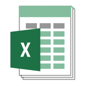 Excel File