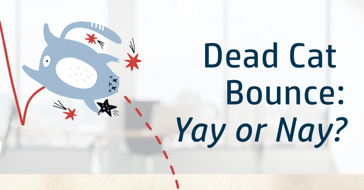 Dead cat bounce_contract for differences