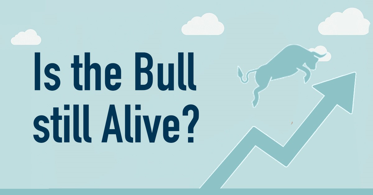 Is the Bull Alive? Phillip CFD