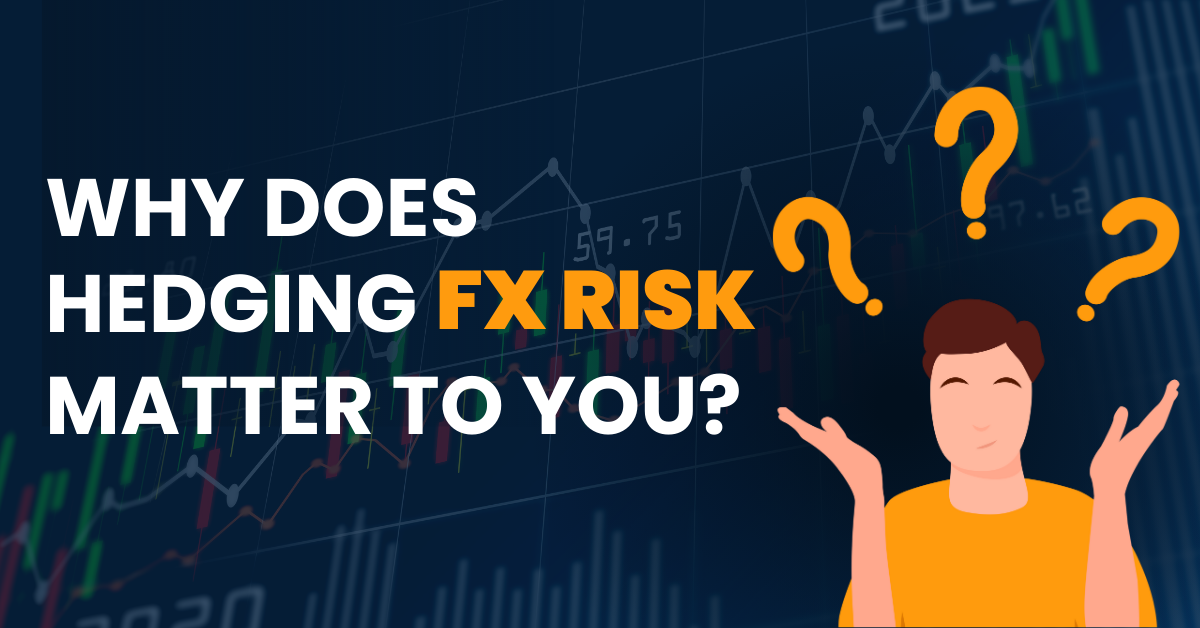 why does hedging fx risk matter to you