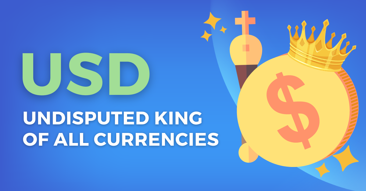 USD article